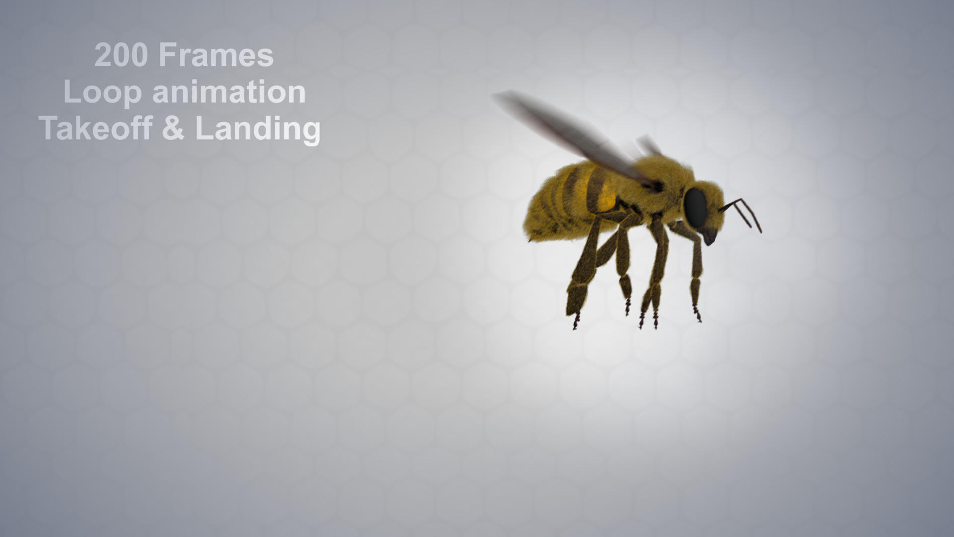 honey bee 3D https://p.turbosquid.com/ts-thumb/EU/zYIScc/czu7uDlS/animate/jpg/1588425614/1920x1080/turn_fit_q99/51de94664edabc9b07db9acefcf993735904b3e1/animate-1.jpg
