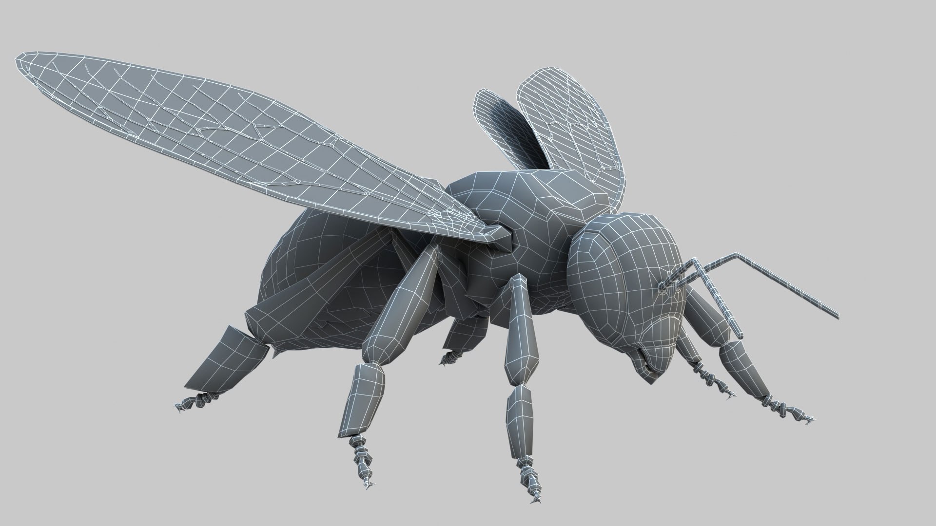 honey bee 3D https://p.turbosquid.com/ts-thumb/EU/zYIScc/ioE1ID2T/bee_wire_001/jpg/1588431184/1920x1080/fit_q87/3a5938b4a663adc4693fb5f35a25e41113ba68d3/bee_wire_001.jpg