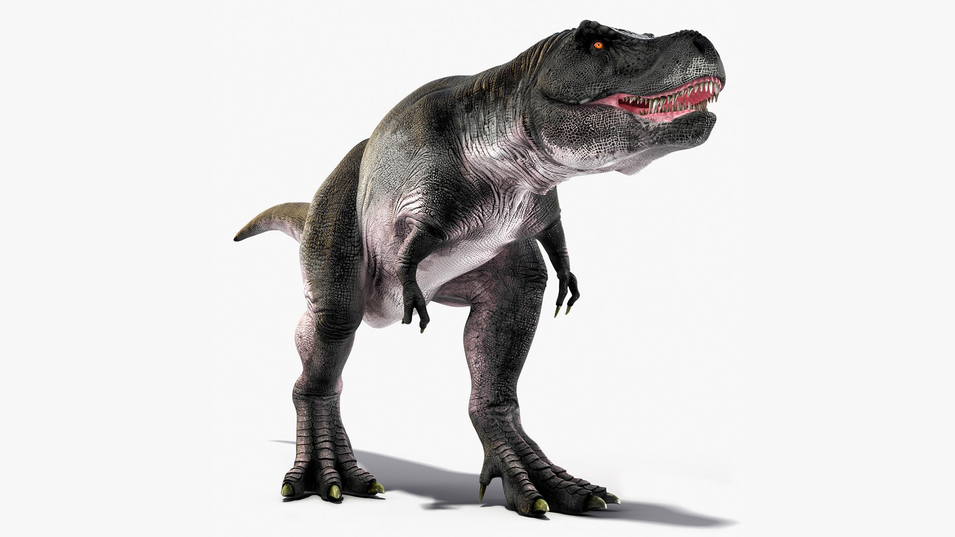 T Rex Walking Animated Rigged 3D model preview