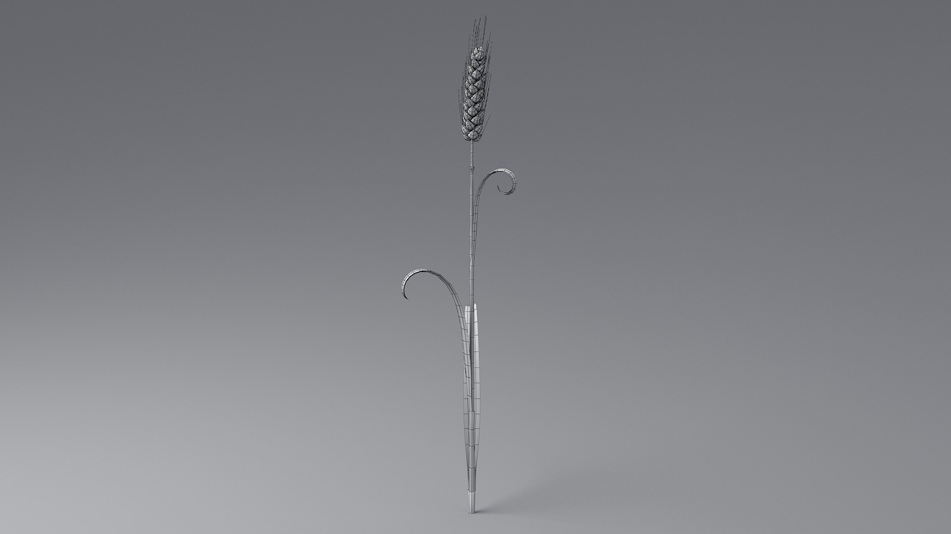 Cartoon Wheat Spikelets Collection 3D https://p.turbosquid.com/ts-thumb/EV/Dhcp3Z/1w/wheat_0027/jpg/1680444198/1920x1080/fit_q87/6d1ec7fd74b5892550622cf8f1952f9bd3287d1a/wheat_0027.jpg