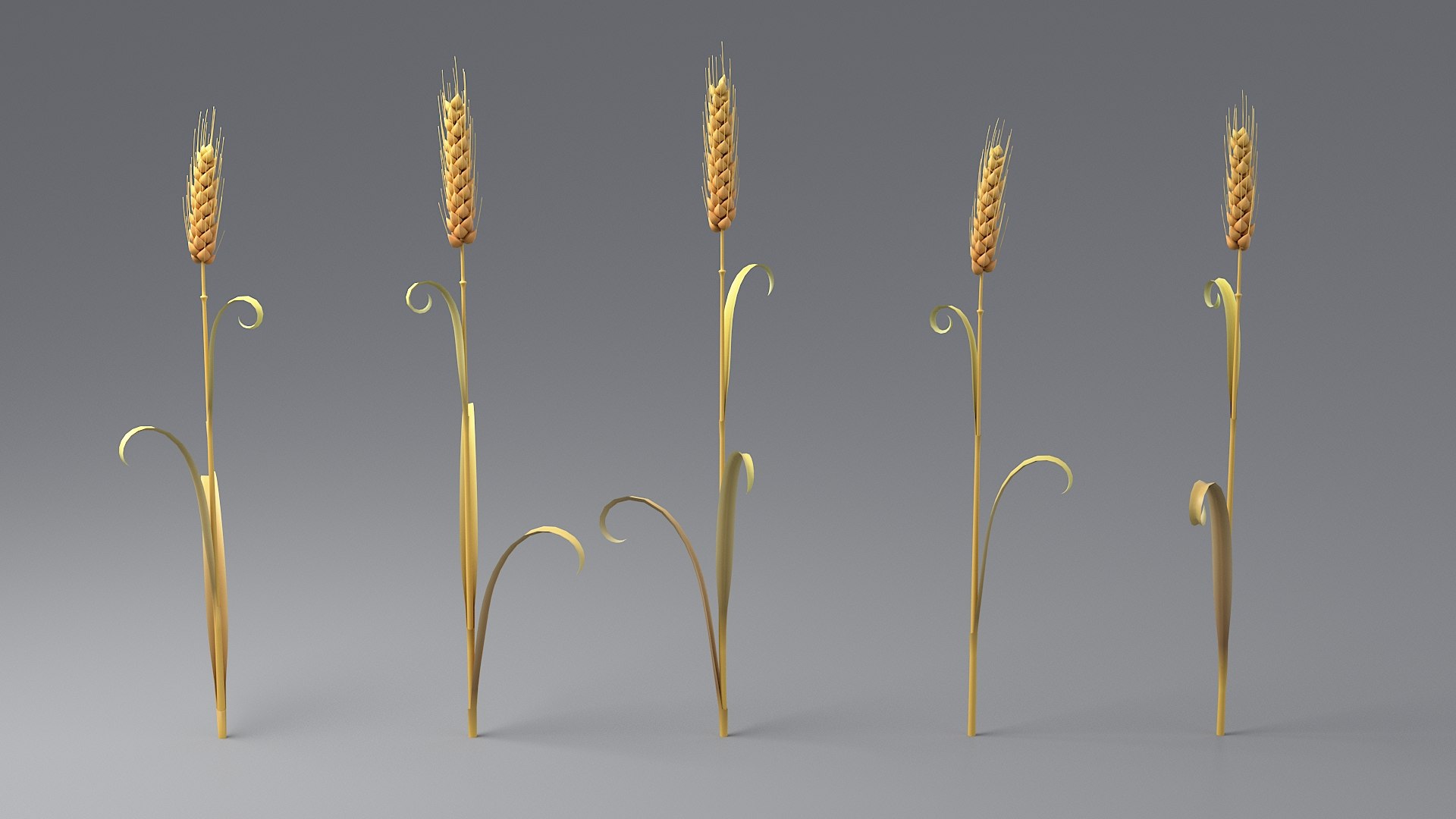 Cartoon Wheat Spikelets Collection 3D https://p.turbosquid.com/ts-thumb/EV/Dhcp3Z/7n/wheattbacol_0022/jpg/1680444172/1920x1080/fit_q87/434a37b594c5d755da54a43352fbd14ec6c091a3/wheattbacol_0022.jpg