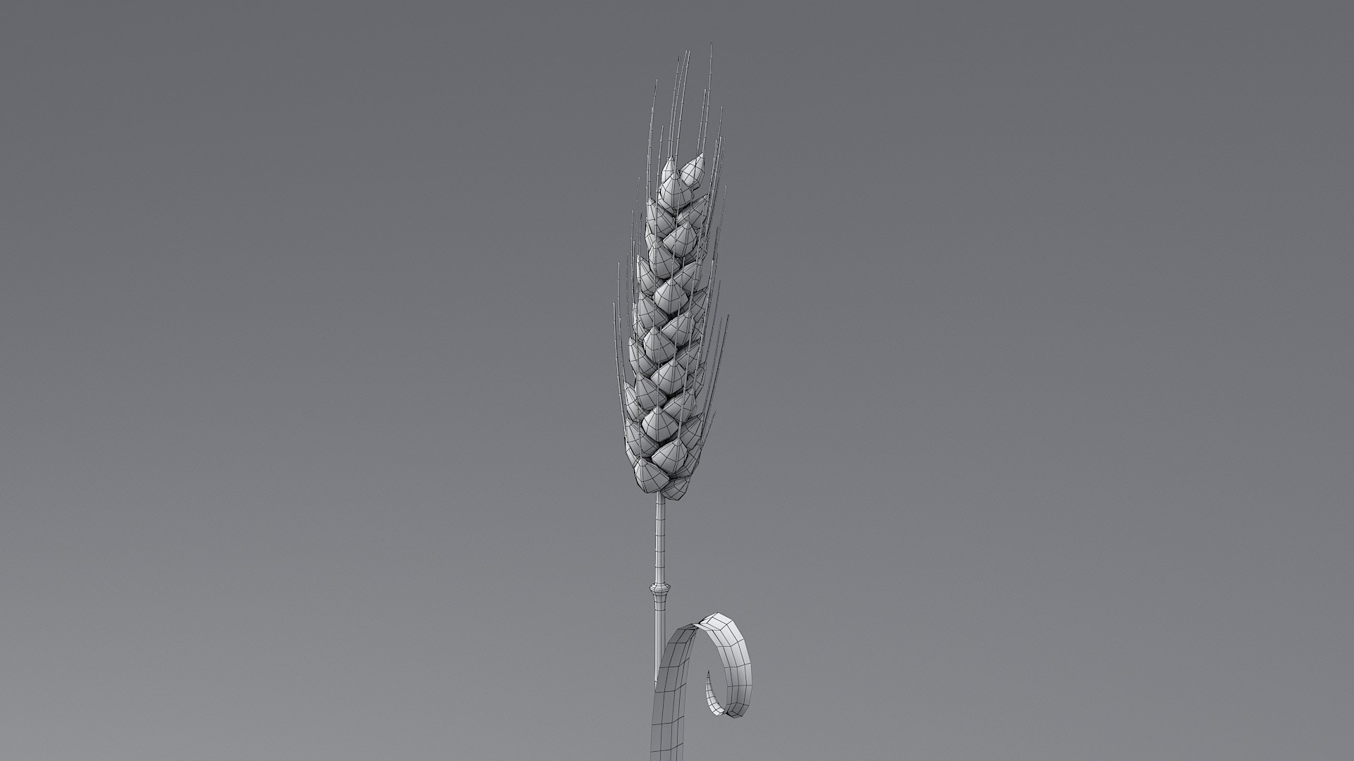 Cartoon Wheat Spikelets Collection 3D https://p.turbosquid.com/ts-thumb/EV/Dhcp3Z/IV/wheat_0031/jpg/1680444199/1920x1080/fit_q87/416a3ab1dd9eae9cd203e3d4bd79f4d2b7bc7f97/wheat_0031.jpg