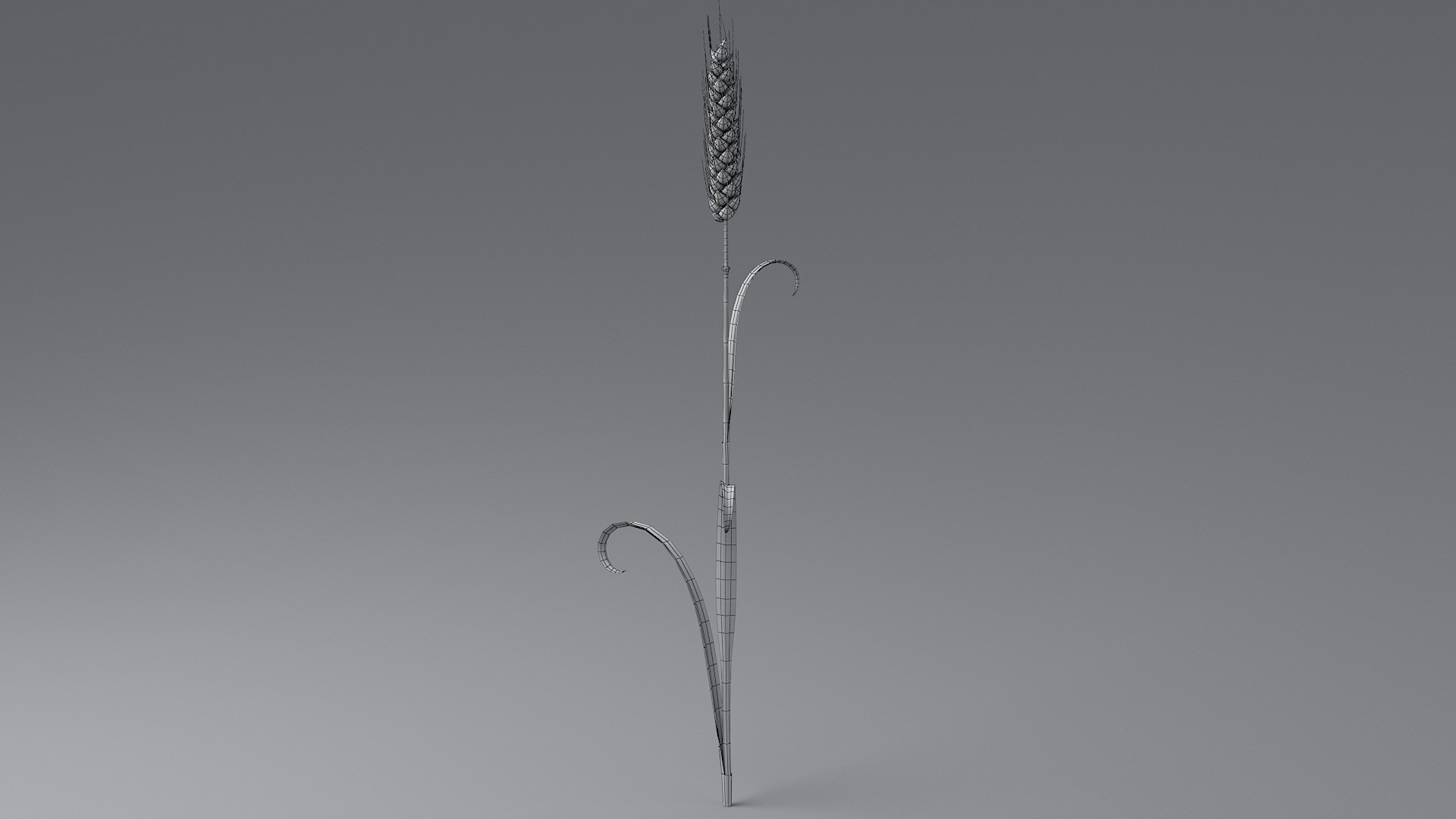 Cartoon Wheat Spikelets Collection 3D https://p.turbosquid.com/ts-thumb/EV/Dhcp3Z/Xg/wheat_0037/jpg/1680444201/1920x1080/fit_q87/5f7e0f1c1aef5f2192553fe59eabb8cd0a75dcfb/wheat_0037.jpg