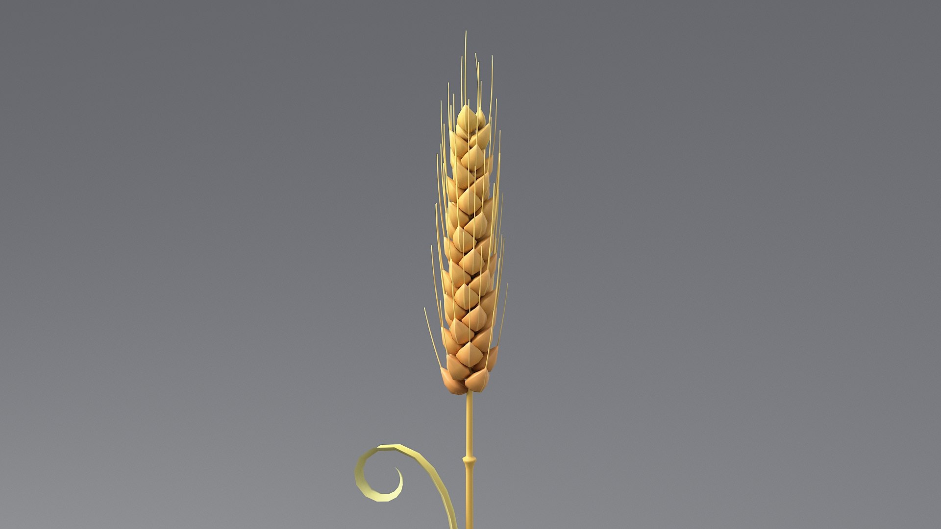 Cartoon Wheat Spikelets Collection 3D https://p.turbosquid.com/ts-thumb/EV/Dhcp3Z/jx/wheat_0011/jpg/1680444195/1920x1080/fit_q87/d119612c7dcf3d275a6bc349850ecf9a08340830/wheat_0011.jpg
