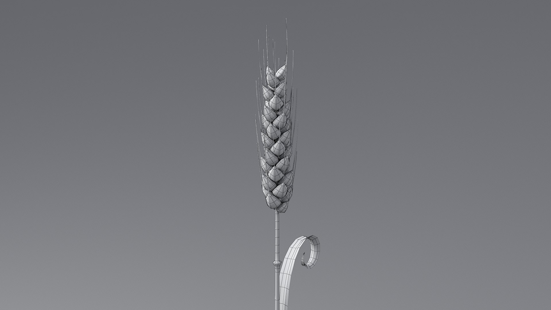 Cartoon Wheat Spikelets Collection 3D https://p.turbosquid.com/ts-thumb/EV/Dhcp3Z/ml/wheat_0051/jpg/1680444204/1920x1080/fit_q87/bbc46a4919f991e18bb342daa5f6d90959070165/wheat_0051.jpg