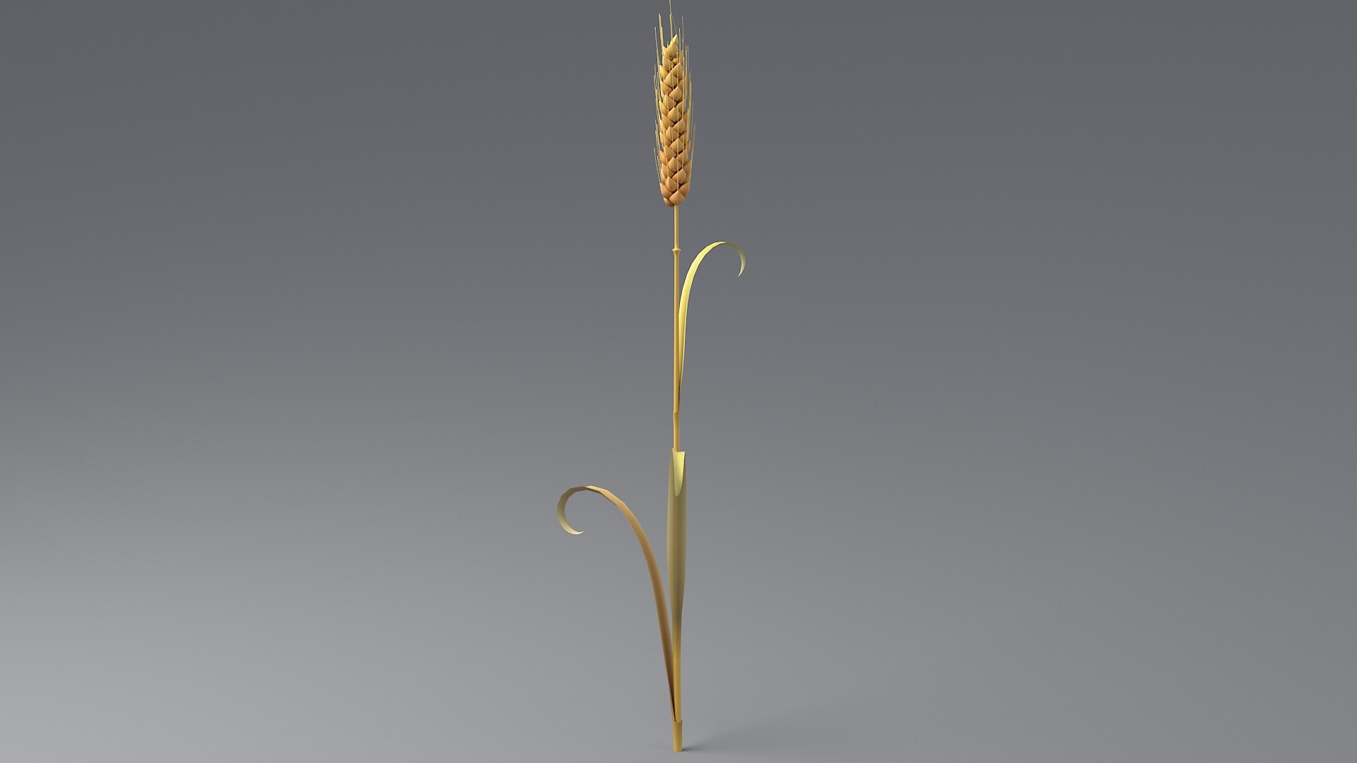 Cartoon Wheat Spikelets Collection 3D https://p.turbosquid.com/ts-thumb/EV/Dhcp3Z/u2/wheat_0012/jpg/1680444236/1920x1080/fit_q87/b8e9c132e148670dde3d9a302d70de126b726770/wheat_0012.jpg