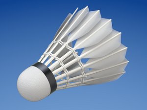 3D badminton shuttlecock sport model