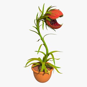 Carnivorous Plant (ANIMATED)
