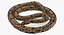 brown python snake rigged model