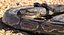brown python snake rigged model