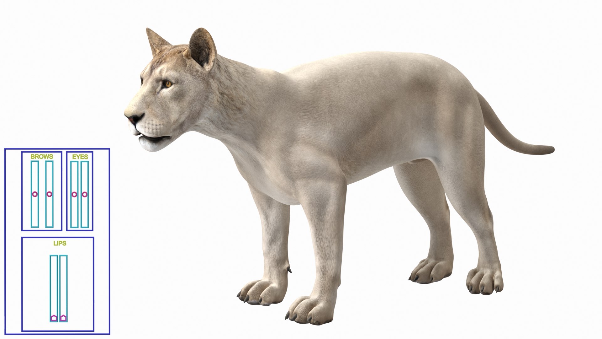 3D Rigged African Animals Collection 11 https://p.turbosquid.com/ts-thumb/EV/lNGrFd/1K/riggedafricananimalscollection113dmodel044/jpg/1662906423/1920x1080/fit_q87/864c27a906d26832b0242972fec34268c706d84f/riggedafricananimalscollection113dmodel044.jpg