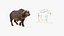 装備されたアフリカの動物コレクション 11
