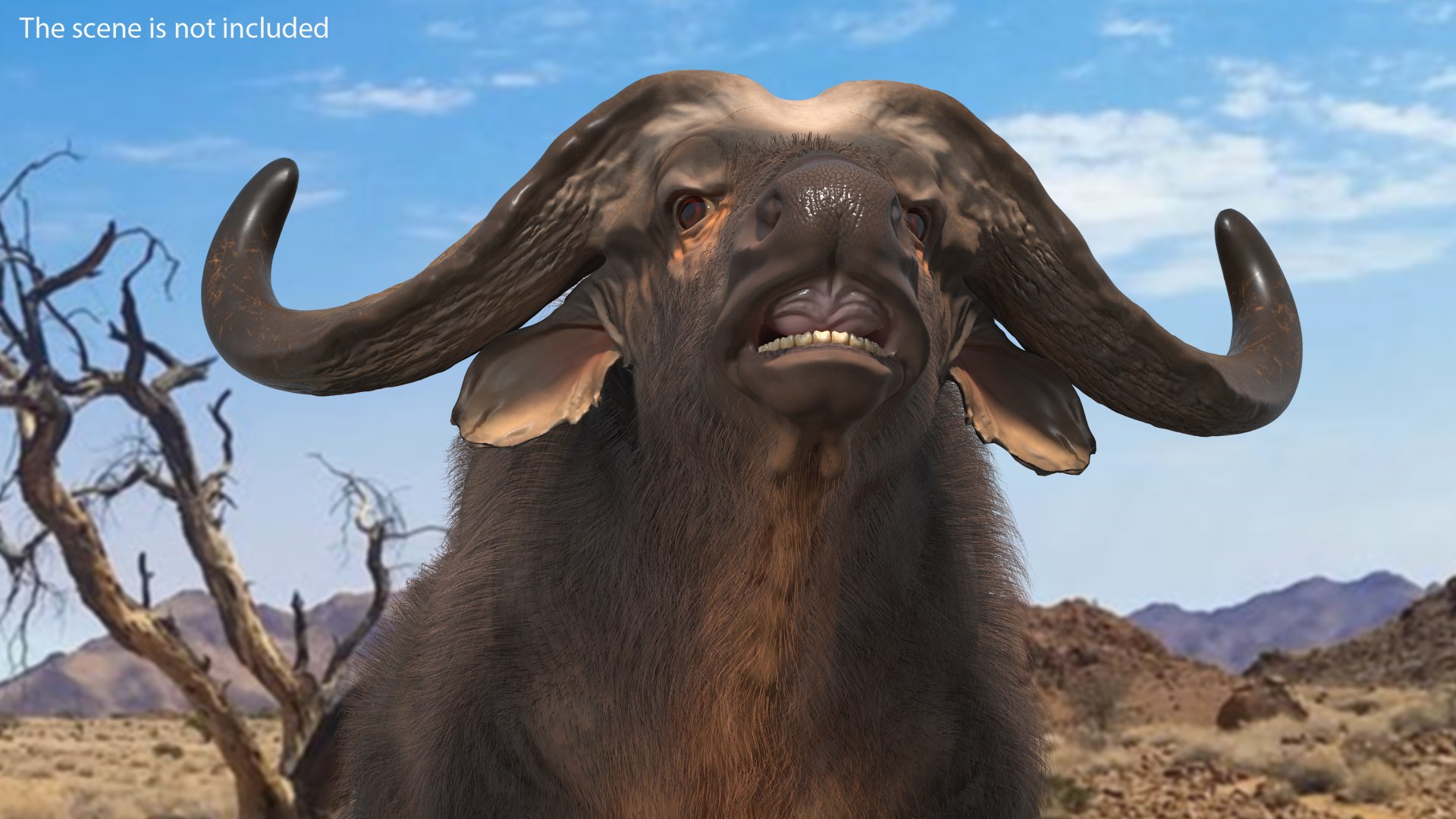 3D Rigged African Animals Collection 11 https://p.turbosquid.com/ts-thumb/EV/lNGrFd/AE/riggedafricananimalscollection113dmodel108/jpg/1662906681/1920x1080/fit_q87/9bfe45b38930880f2ccc28fb897f9ddde399746a/riggedafricananimalscollection113dmodel108.jpg