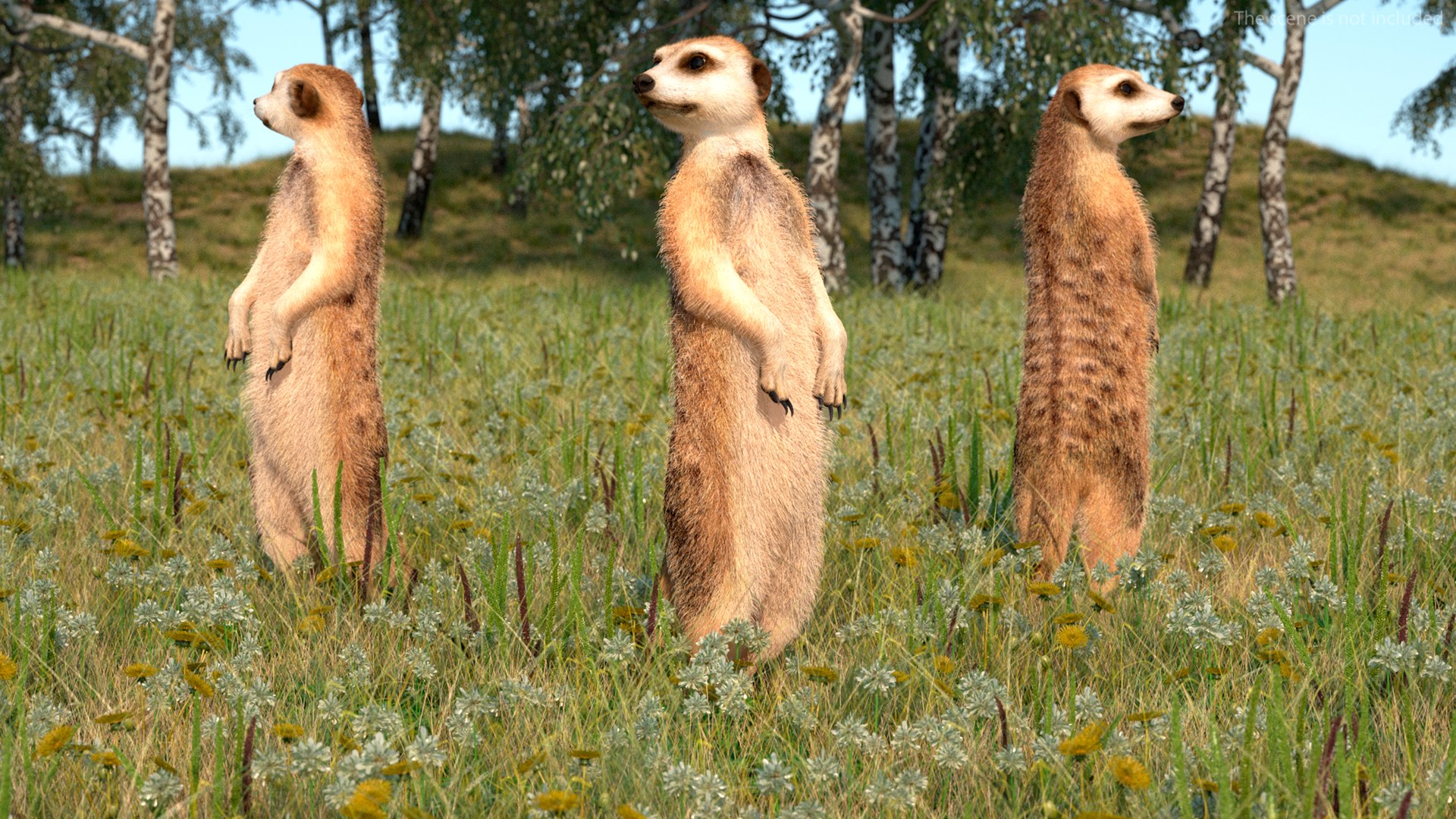 3D Rigged African Animals Collection 11 https://p.turbosquid.com/ts-thumb/EV/lNGrFd/D3/riggedafricananimalscollection113dmodel008/jpg/1662906252/1920x1080/fit_q87/e1f7b49373fd17a8d1952a7e3a789c890cbba7df/riggedafricananimalscollection113dmodel008.jpg