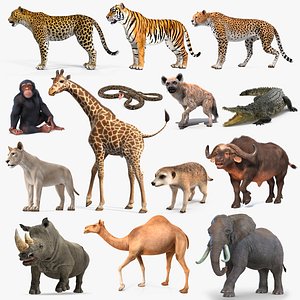 3D Rigged African Animals Collection 11