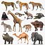 装備されたアフリカの動物コレクション 11