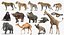 装備されたアフリカの動物コレクション 11