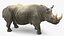 装備されたアフリカの動物コレクション 11
