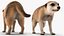 装備されたアフリカの動物コレクション 11