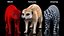装備されたアフリカの動物コレクション 11