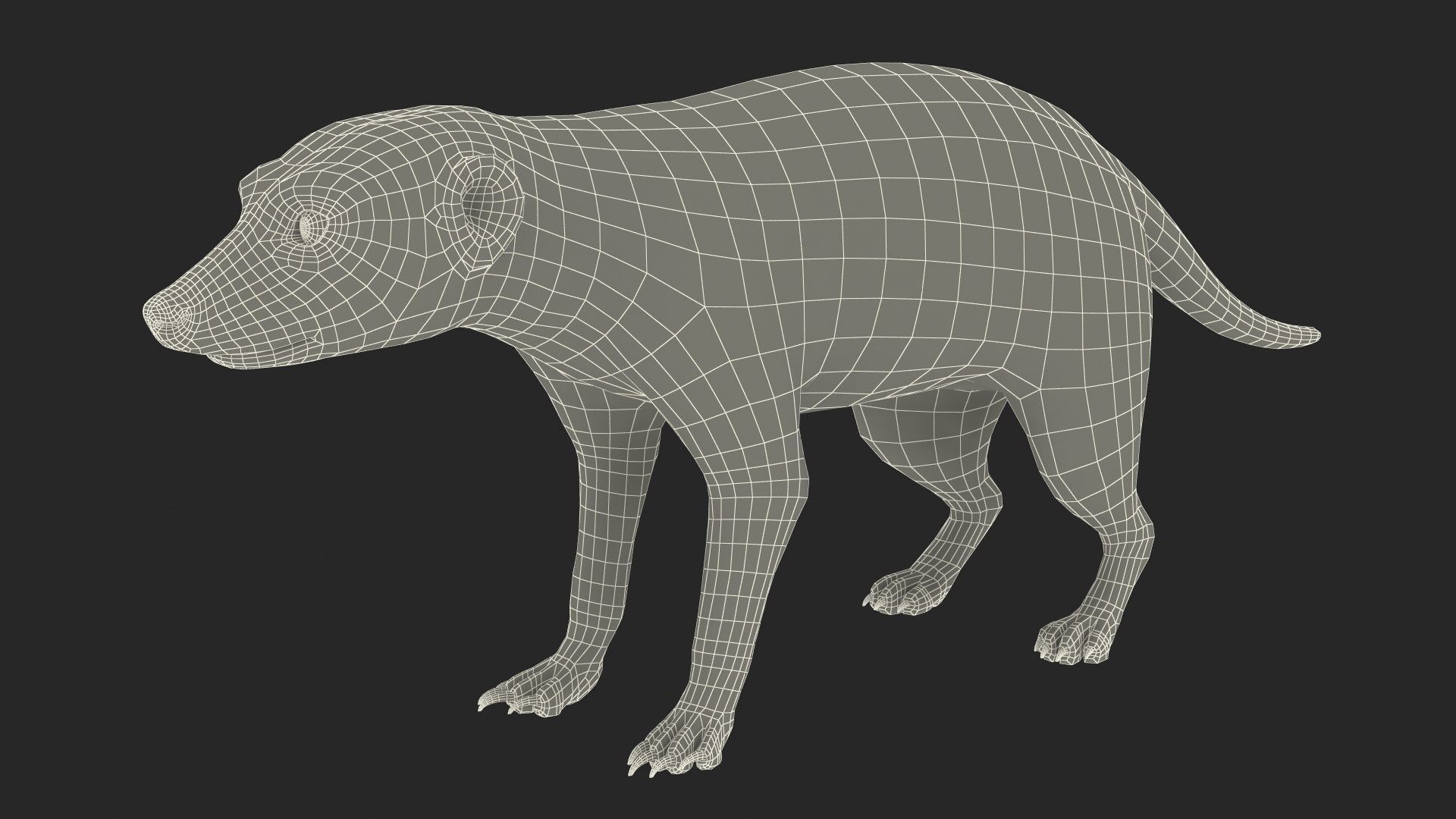 3D Rigged African Animals Collection 11 https://p.turbosquid.com/ts-thumb/EV/lNGrFd/MW/riggedafricananimalscollection113dmodel202/jpg/1662907032/1920x1080/fit_q87/e44c0aca0c2e755e97ababd184b1887c4e33169e/riggedafricananimalscollection113dmodel202.jpg