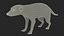 装備されたアフリカの動物コレクション 11