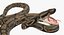 装備されたアフリカの動物コレクション 11