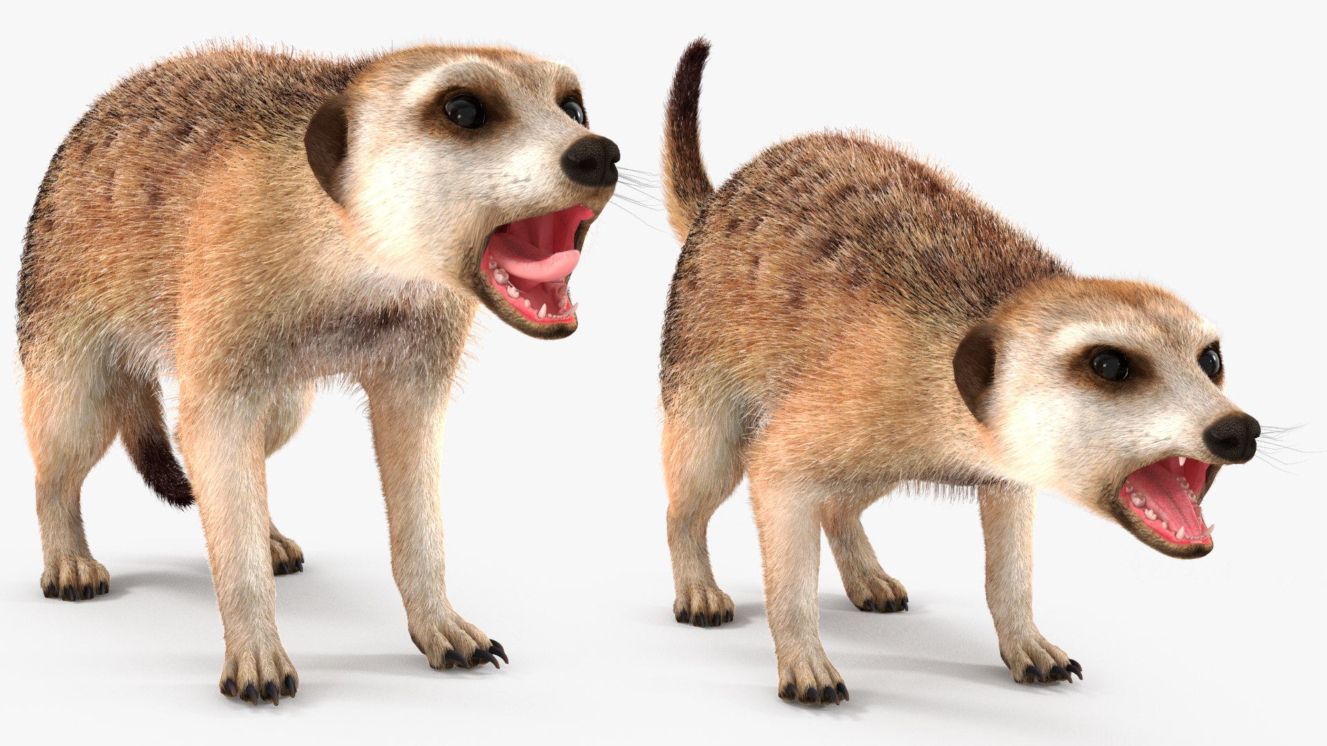 3D Rigged African Animals Collection 11 https://p.turbosquid.com/ts-thumb/EV/lNGrFd/Nz/riggedafricananimalscollection113dmodel024/jpg/1662906337/1920x1080/fit_q87/4727dc8aaf9f06fe7acd8b51196855082e1e3155/riggedafricananimalscollection113dmodel024.jpg