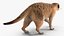 装備されたアフリカの動物コレクション 11