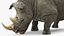 装備されたアフリカの動物コレクション 11