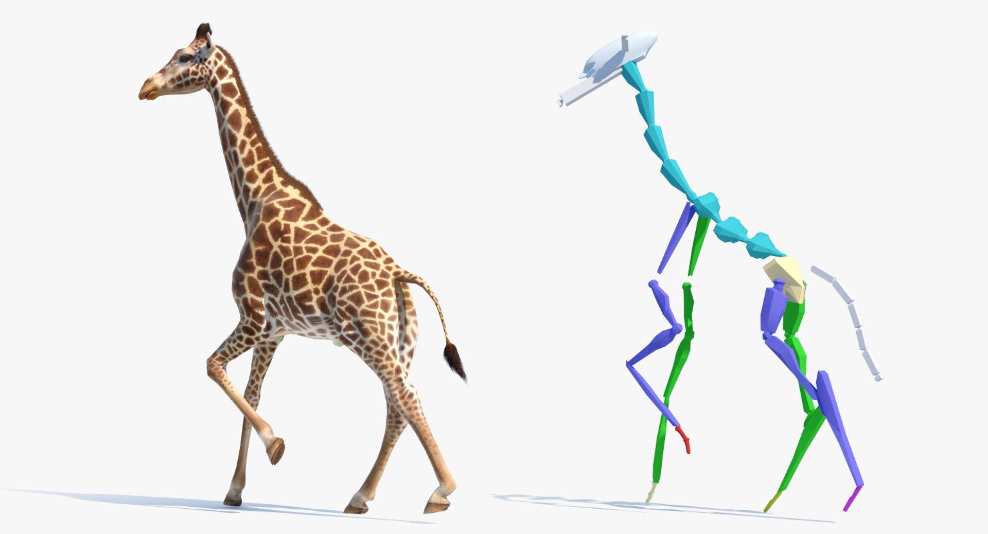 3D Rigged African Animals Collection 11 https://p.turbosquid.com/ts-thumb/EV/lNGrFd/VK/riggedafricananimalscollection113dmodel146/jpg/1662906819/1920x1080/fit_q87/3c064939032b5844cc25c6a90884b361f718b07d/riggedafricananimalscollection113dmodel146.jpg
