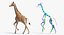 装備されたアフリカの動物コレクション 11
