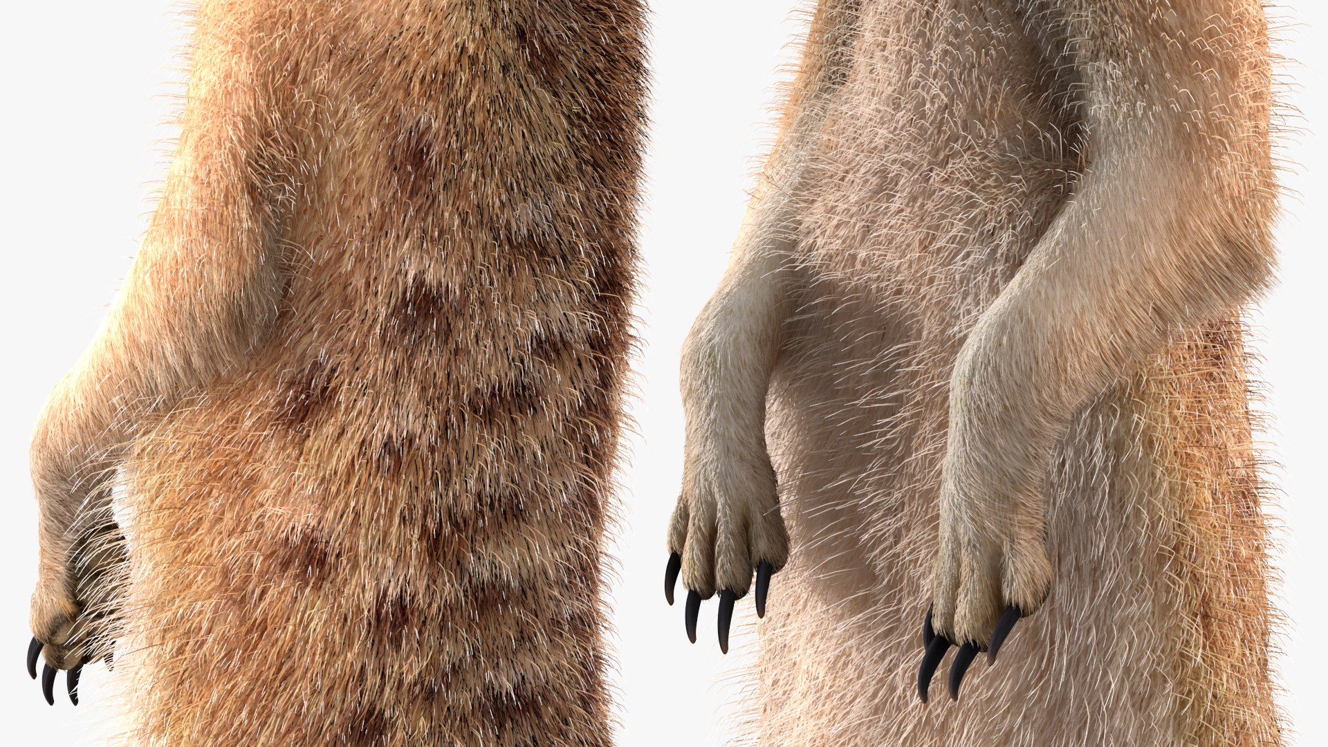 3D Rigged African Animals Collection 11 https://p.turbosquid.com/ts-thumb/EV/lNGrFd/YN/riggedafricananimalscollection113dmodel035/jpg/1662906387/1920x1080/fit_q87/2b3219a90518b72ca4482c85edbc697b8814ad5f/riggedafricananimalscollection113dmodel035.jpg