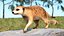 装備されたアフリカの動物コレクション 11