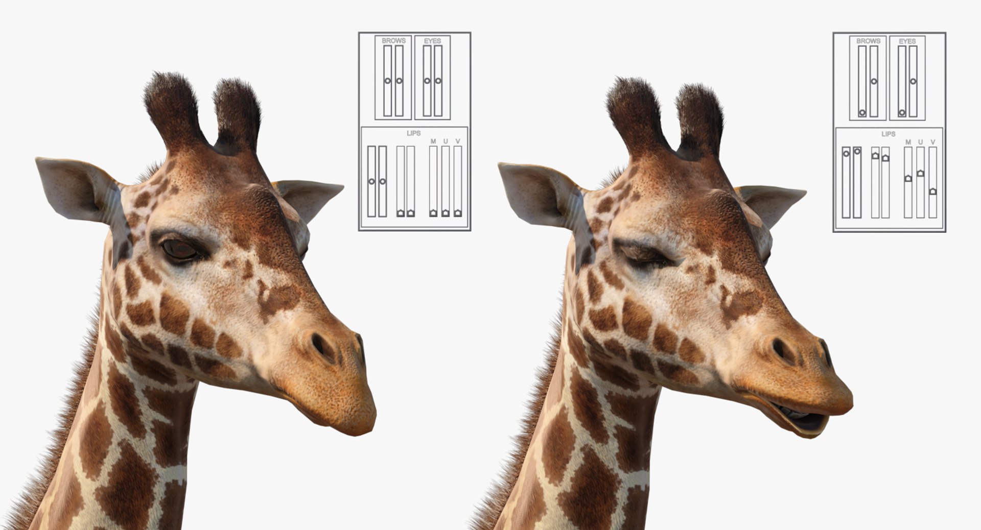 3D Rigged African Animals Collection 11 https://p.turbosquid.com/ts-thumb/EV/lNGrFd/e1/riggedafricananimalscollection113dmodel144/jpg/1662906813/1920x1080/fit_q87/733a19e6de4e0d9a5987caa2c2d6c41b937cb5f7/riggedafricananimalscollection113dmodel144.jpg