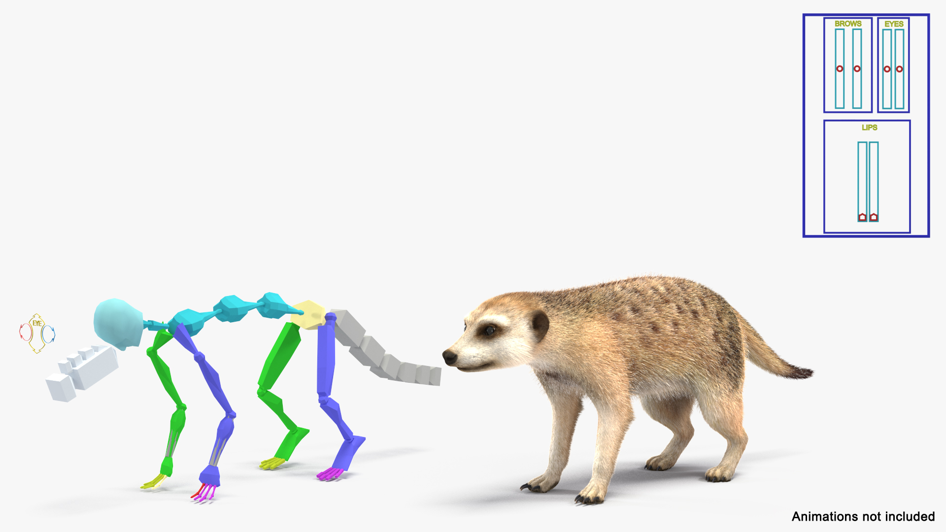 3D Rigged African Animals Collection 11 https://p.turbosquid.com/ts-thumb/EV/lNGrFd/gC/meerkat_rigged_fur_362/jpg/1662907269/1920x1080/turn_fit_q99/4a9ab04137e9a2cc09100a6c8afc005c089a20e8/meerkat_rigged_fur_362-1.jpg