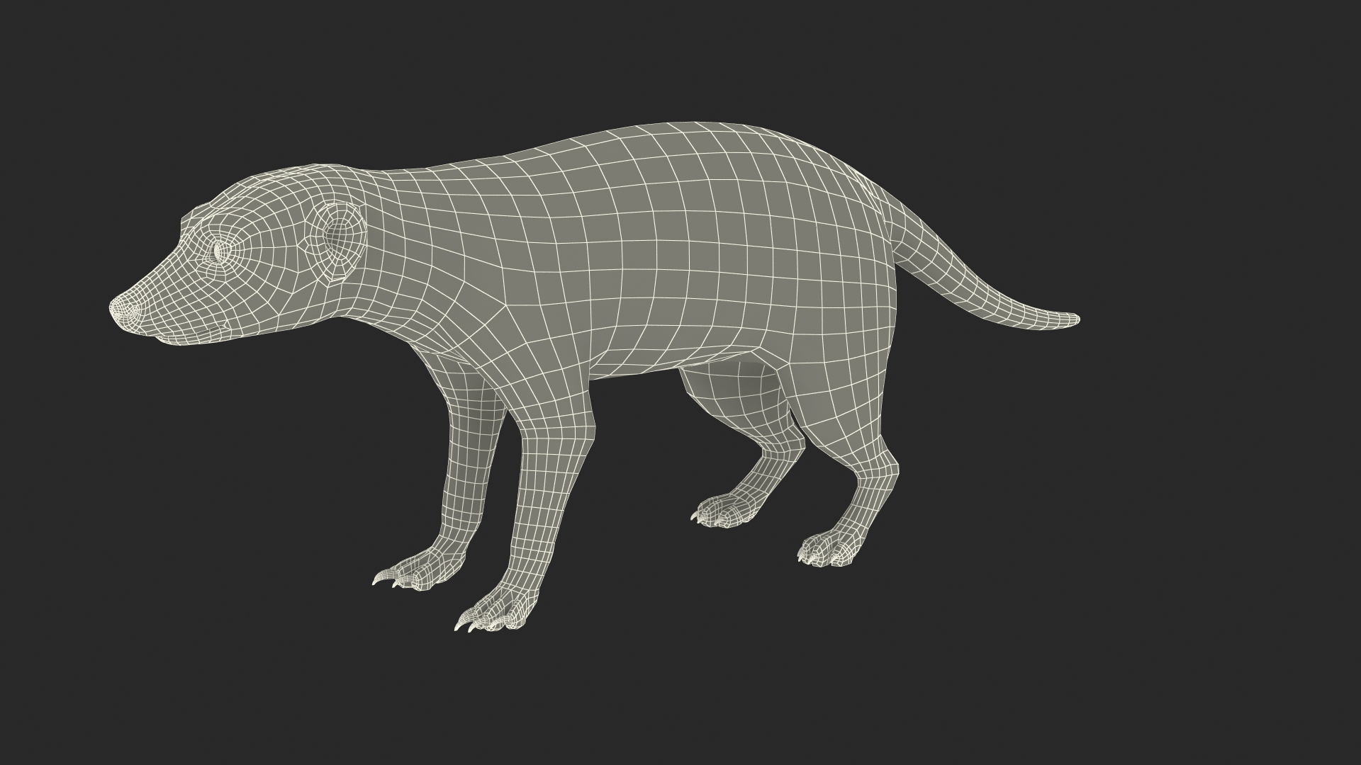 3D Rigged African Animals Collection 11 https://p.turbosquid.com/ts-thumb/EV/lNGrFd/lA/meerkat_rigged_fur_361/jpg/1662907833/1920x1080/turn_fit_q99/a07a47a652cd19da70899da19f9d3002015e8550/meerkat_rigged_fur_361-1.jpg