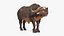 装備されたアフリカの動物コレクション 11