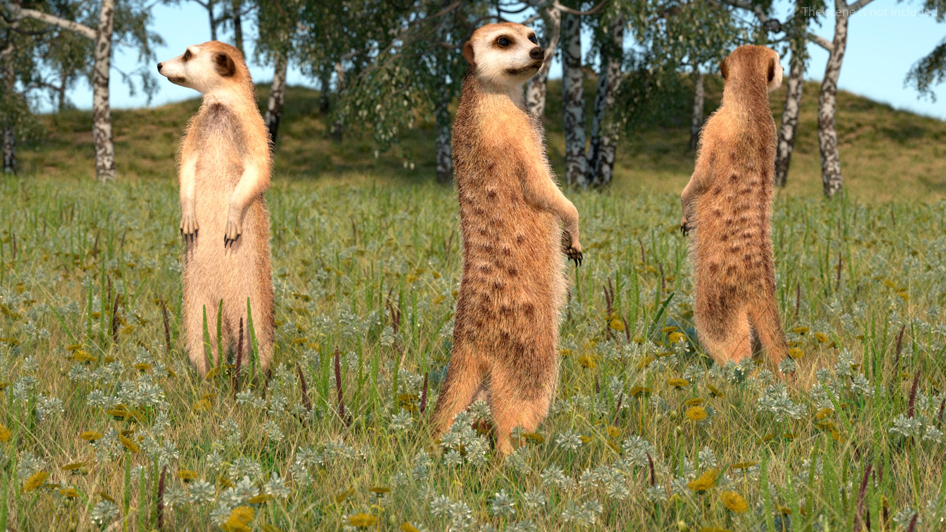 3D Rigged African Animals Collection 11 https://p.turbosquid.com/ts-thumb/EV/lNGrFd/rc/riggedafricananimalscollection113dmodel010/jpg/1662906271/1920x1080/fit_q87/d282218d6e167a65f4b5072236984d399244a117/riggedafricananimalscollection113dmodel010.jpg