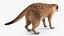 装備されたアフリカの動物コレクション 11