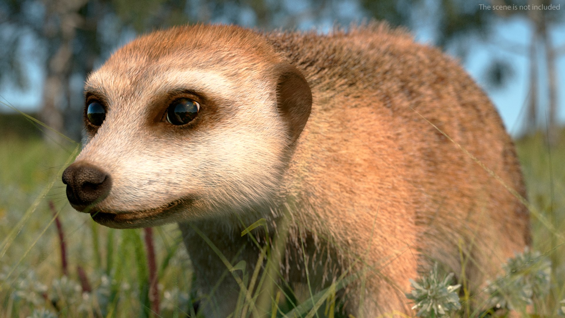3D Rigged African Animals Collection 11 https://p.turbosquid.com/ts-thumb/EV/lNGrFd/sD/riggedafricananimalscollection113dmodel015/jpg/1662906297/1920x1080/fit_q87/684807f5394f448536a950cd8ddddc4ae8aa5d61/riggedafricananimalscollection113dmodel015.jpg