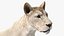 装備されたアフリカの動物コレクション 11