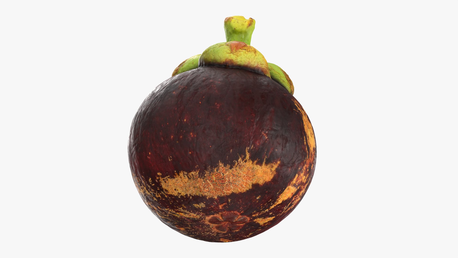 Mangosteen 02 3D model https://p.turbosquid.com/ts-thumb/EV/uR5IzL/0H/mangosteen02_0005/png/1763831150/1920x1080/fit_q87/9005b6c626222039cf98c6ce86a336bfa7466baf/mangosteen02_0005.jpg