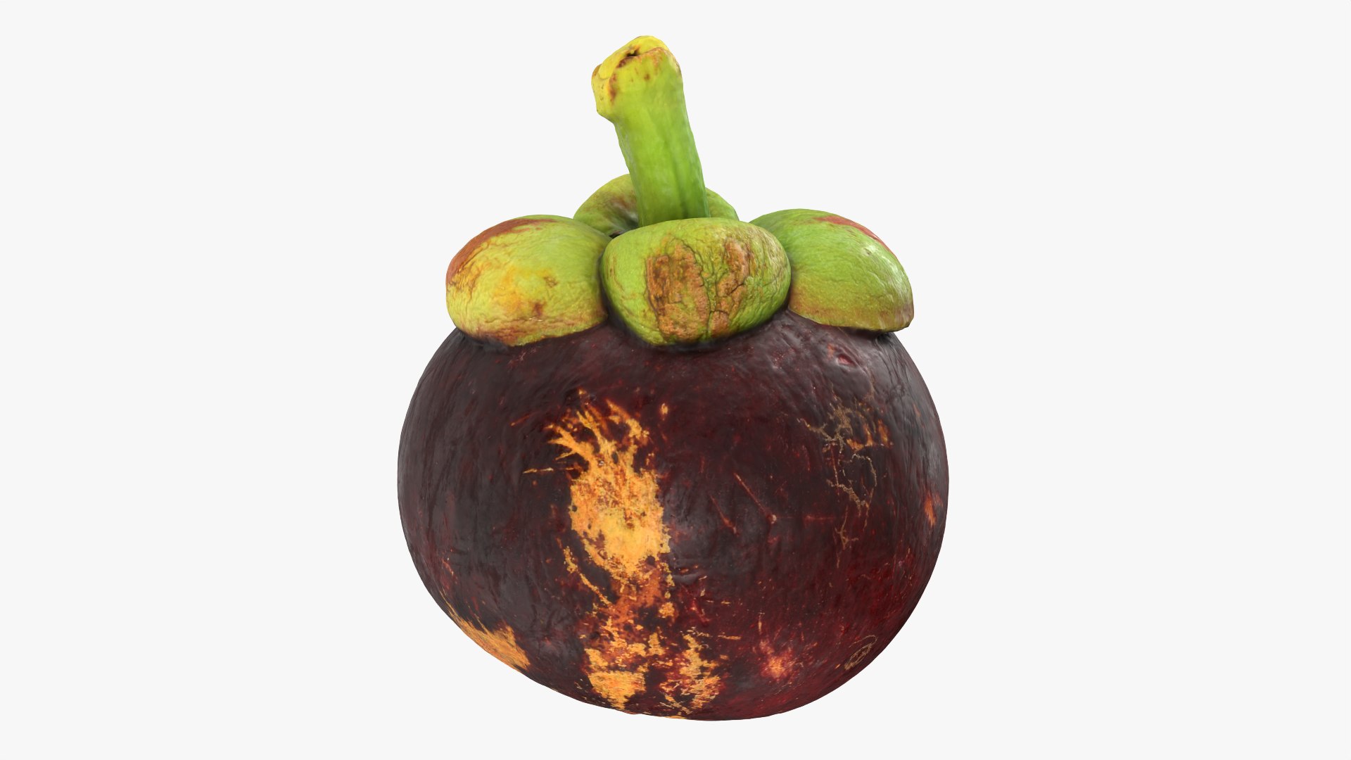 Mangosteen 02 3D model https://p.turbosquid.com/ts-thumb/EV/uR5IzL/9B/mangosteen02_0009/png/1763831156/1920x1080/fit_q87/8f7c412e394de07c938f00c05c546e28422fef1d/mangosteen02_0009.jpg