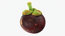 Mangosteen 02