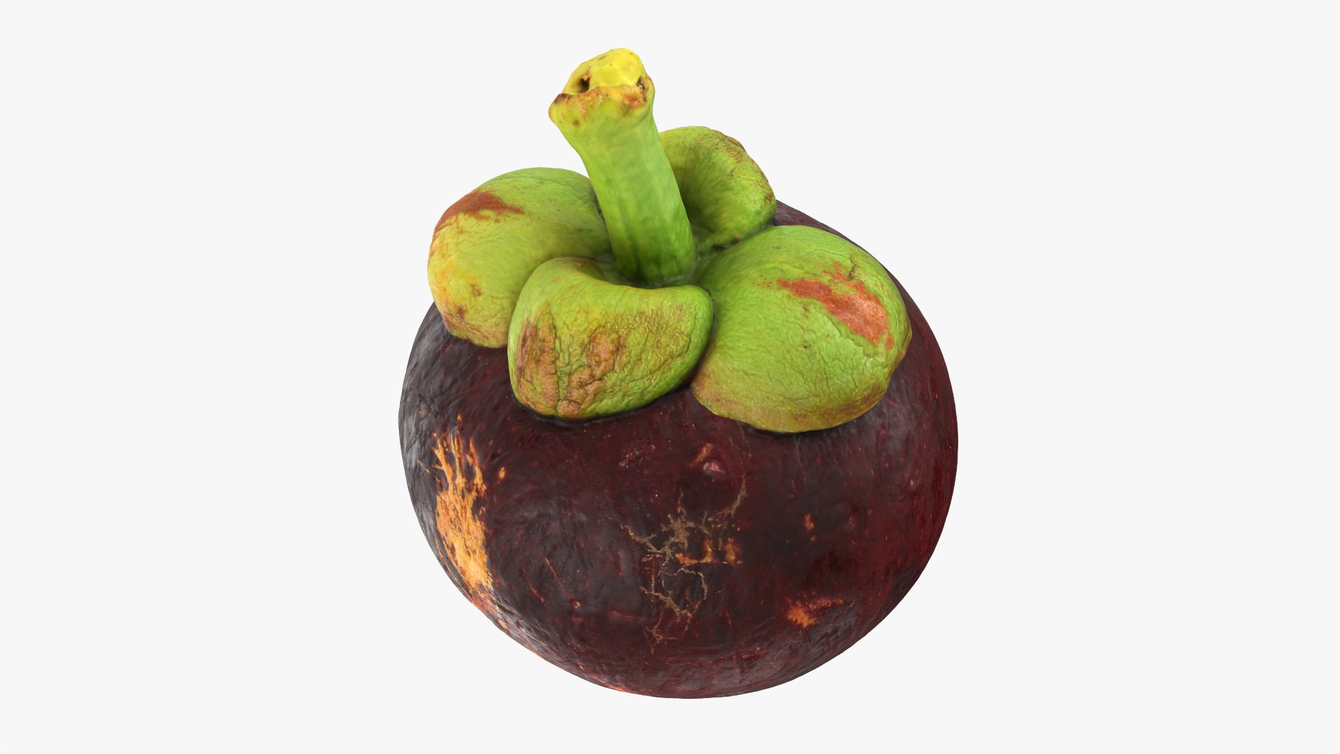 Mangosteen 02 3D model https://p.turbosquid.com/ts-thumb/EV/uR5IzL/D4/mangosteen02_0006/png/1763831155/1920x1080/fit_q87/896682930b106aa87e92e71cac69de92dbcca990/mangosteen02_0006.jpg