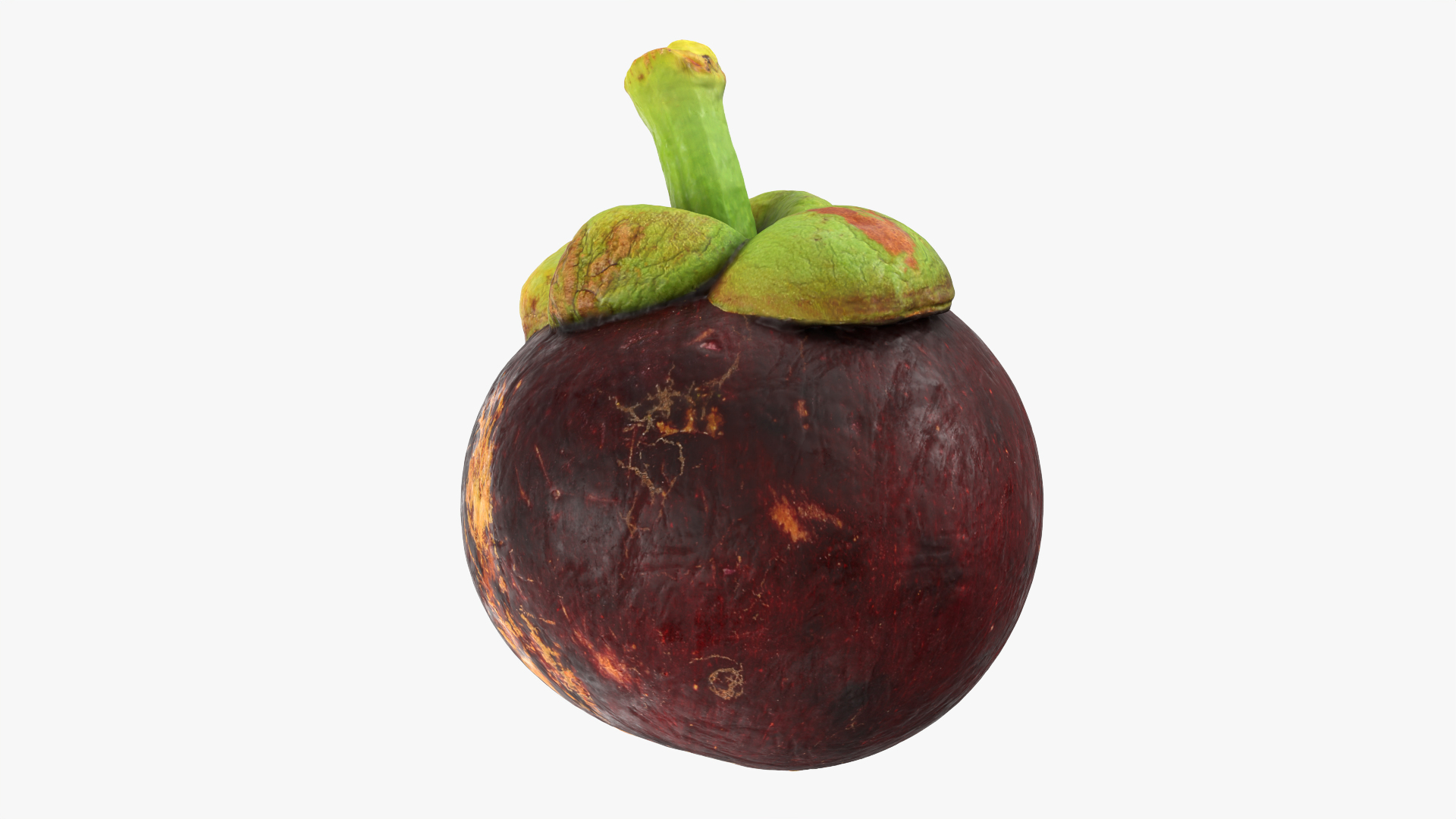 Mangosteen 02 3D model https://p.turbosquid.com/ts-thumb/EV/uR5IzL/UF/mangosteen02/png/1763831177/1920x1080/turn_fit_q99/cbf85303fbb430a24f1c9aa44bcabb2c0ab084a1/mangosteen02-1.jpg