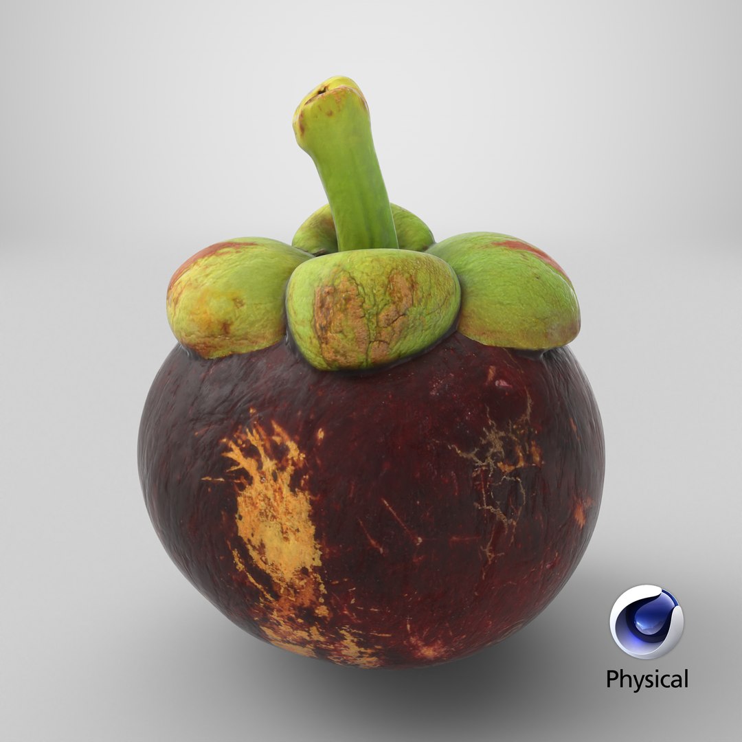 Mangosteen 02 3D model https://p.turbosquid.com/ts-thumb/EV/uR5IzL/Y5/stemcell_cinema_4d_physical_render/png/1764243133/1920x1080/fit_q87/63a0c8f049dd6840bd010d6c30e055fecc8ee118/stemcell_cinema_4d_physical_render.jpg