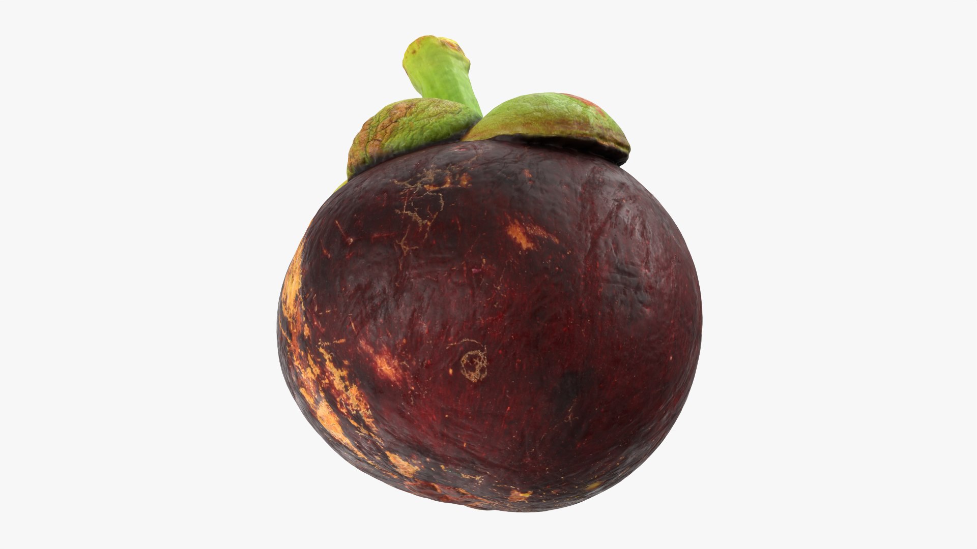 Mangosteen 02 3D model https://p.turbosquid.com/ts-thumb/EV/uR5IzL/ib/mangosteen02_0011/png/1763831161/1920x1080/fit_q87/4d48fcb2d1c4dbe96a1b3a7c7c48dfa919bb7b48/mangosteen02_0011.jpg