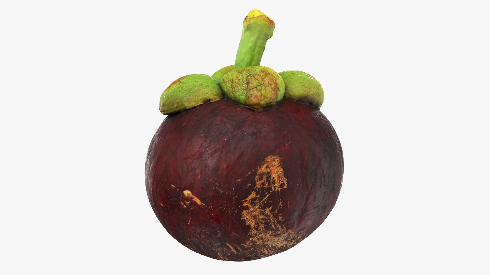 Mangosteen 02 3D model https://p.turbosquid.com/ts-thumb/EV/uR5IzL/on/mangosteen02_0004/png/1763831149/1920x1080/fit_q87/3e0143daba8ddb134fe79f2867a8252e870c6971/mangosteen02_0004.jpg